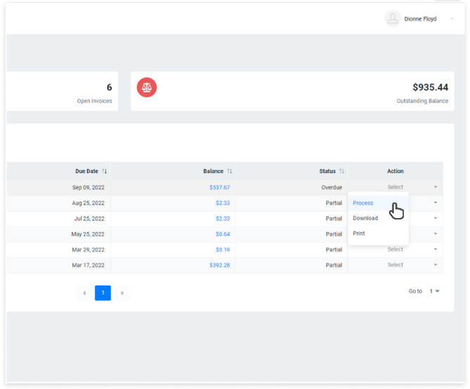 customer_portal_client_invoices_process_individual