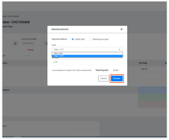 customer_portal_client_invoices_process_individual2